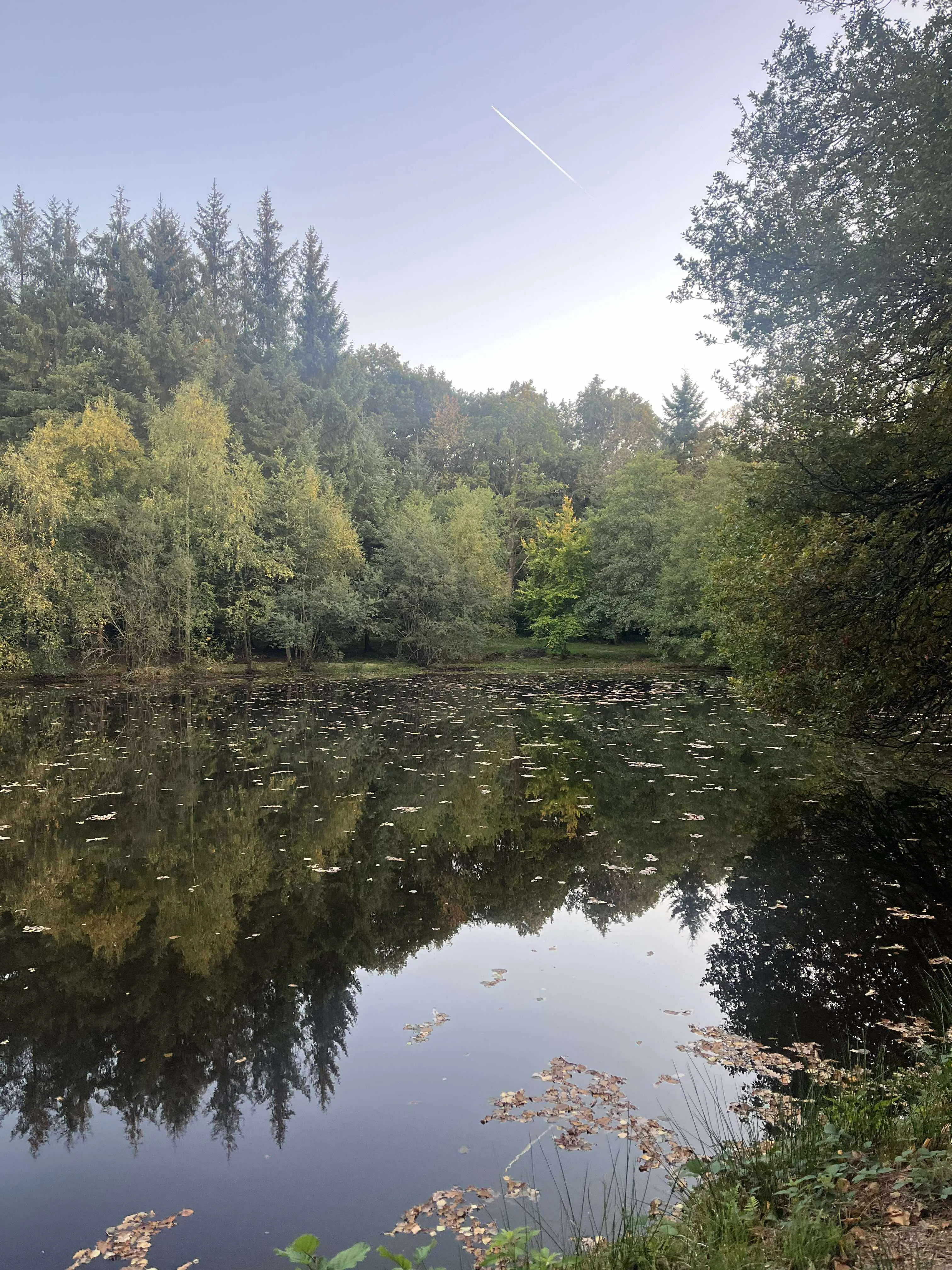Gite de pêche dans l'Orne, chalet avec accès à 4 étangs privés