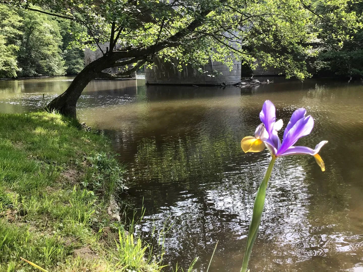 Chambre d’hôtes au coaur de l'Auvergne, 2 personnes, sur une île en bord de rivière