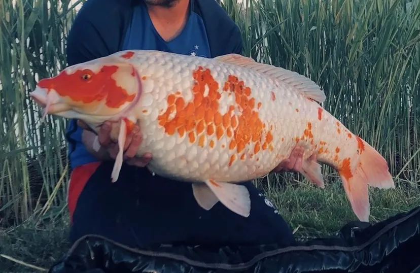 Séjour pêche et nature en tente tout équipée
