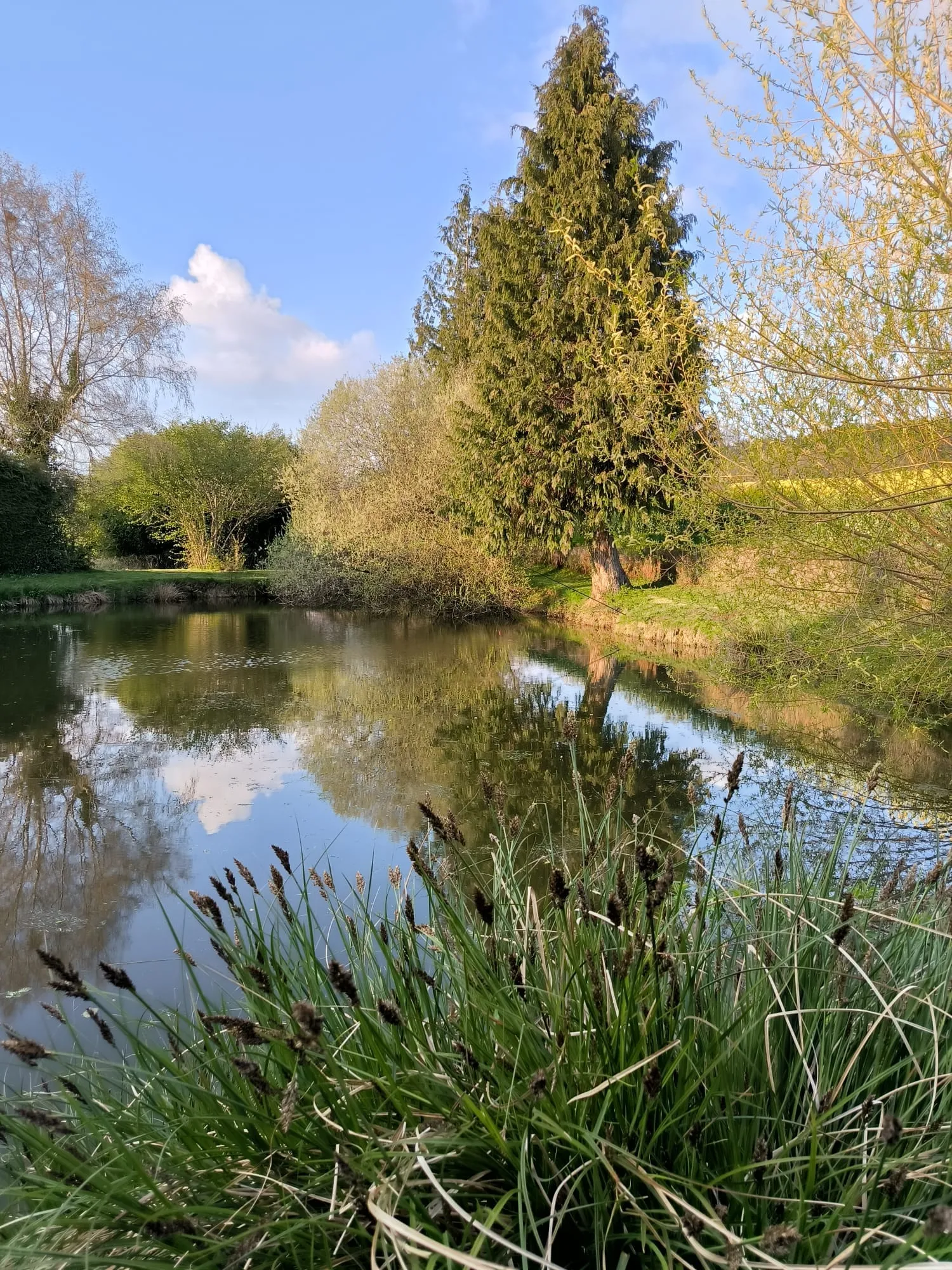 Etang de pêche clos avec petit air de jeux
