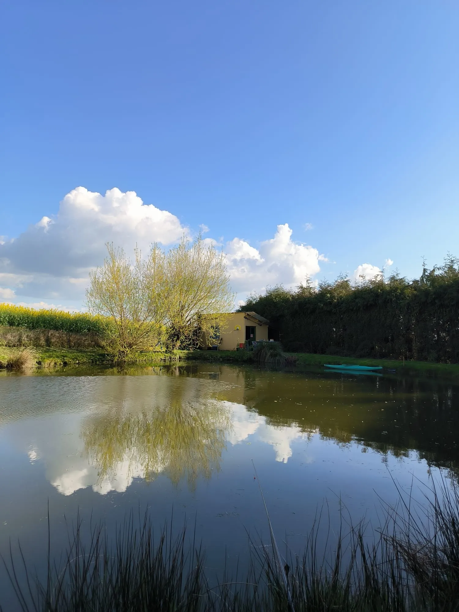 Etang de pêche clos avec petit air de jeux