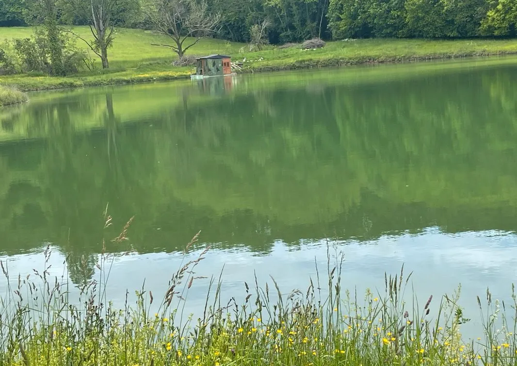 Étang d’un hectare pour camper et pêcher en No-kill dans la campagne pennoise