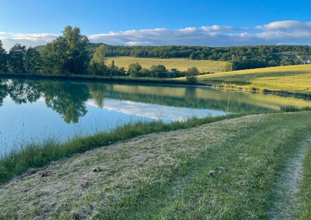 Étang d’un hectare pour camper et pêcher en No-kill dans la campagne pennoise