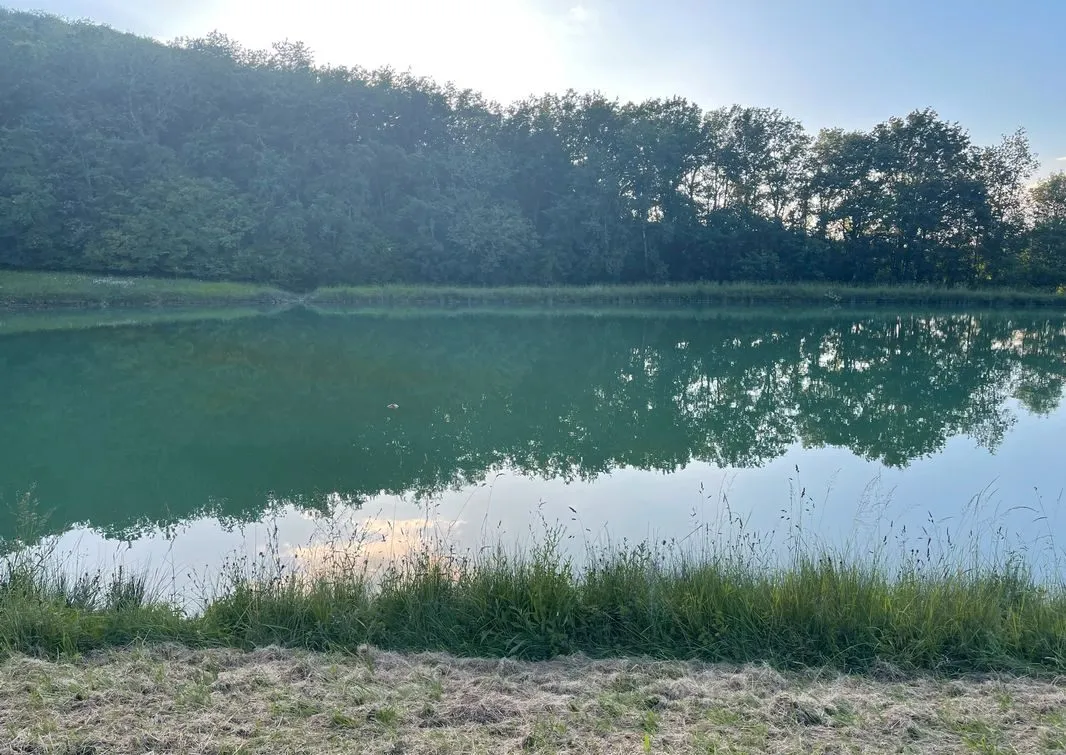 Étang d’un hectare pour camper et pêcher en No-kill dans la campagne pennoise