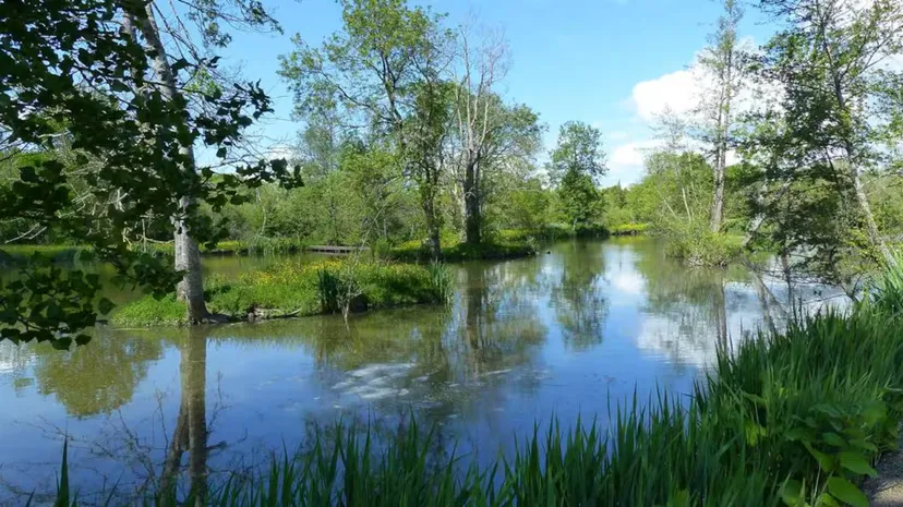 Séjour en Deux-Sèvres – 9 personnes – au bord d’un lac de 10 ha