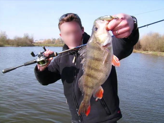 Séjour en Deux-Sèvres – 9 personnes – au bord d’un lac de 10 ha