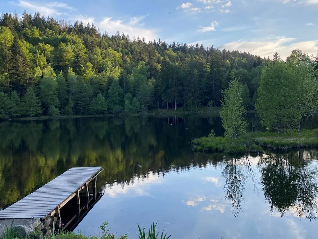 Maison avec chalet privée au coeur des vosges