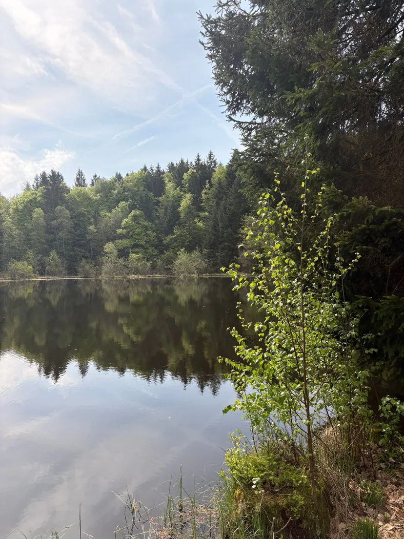 Chalet avec étangs privés et vue exceptionnelle