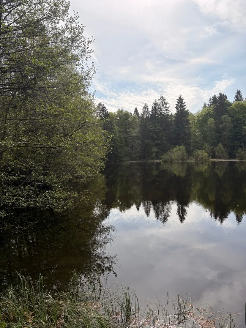 Chalet avec étangs privés et vue exceptionnelle