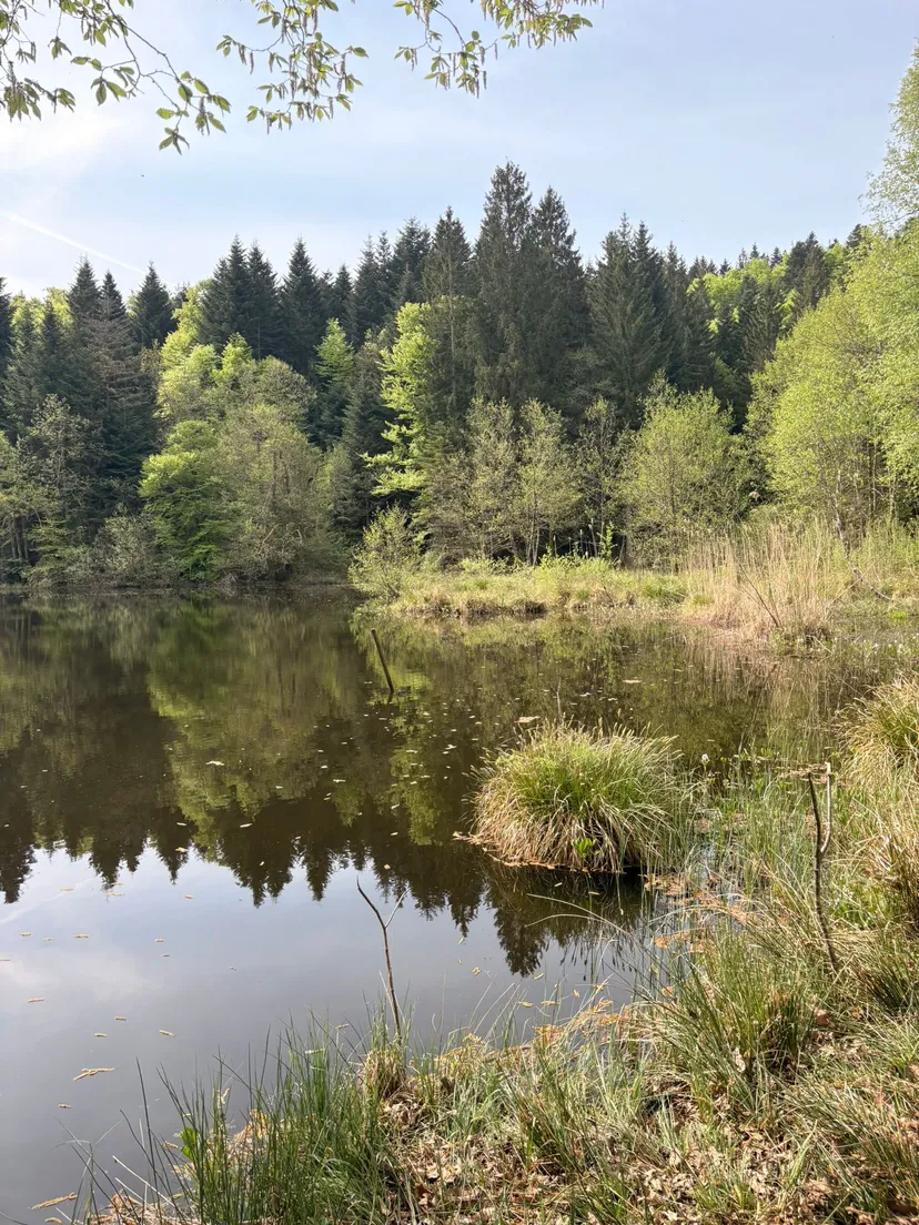 Chalet avec étangs privés et vue exceptionnelle
