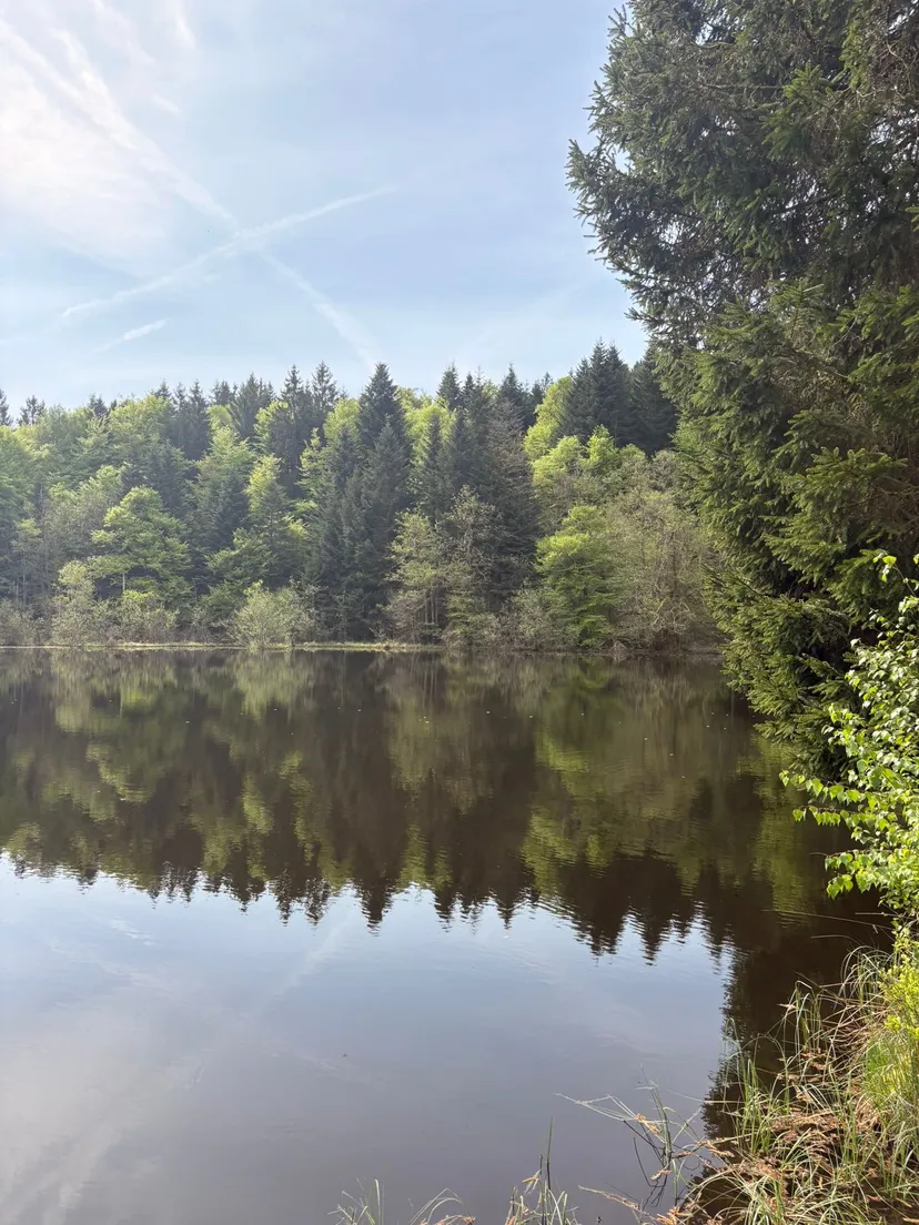 Chalet avec étangs privés et vue exceptionnelle