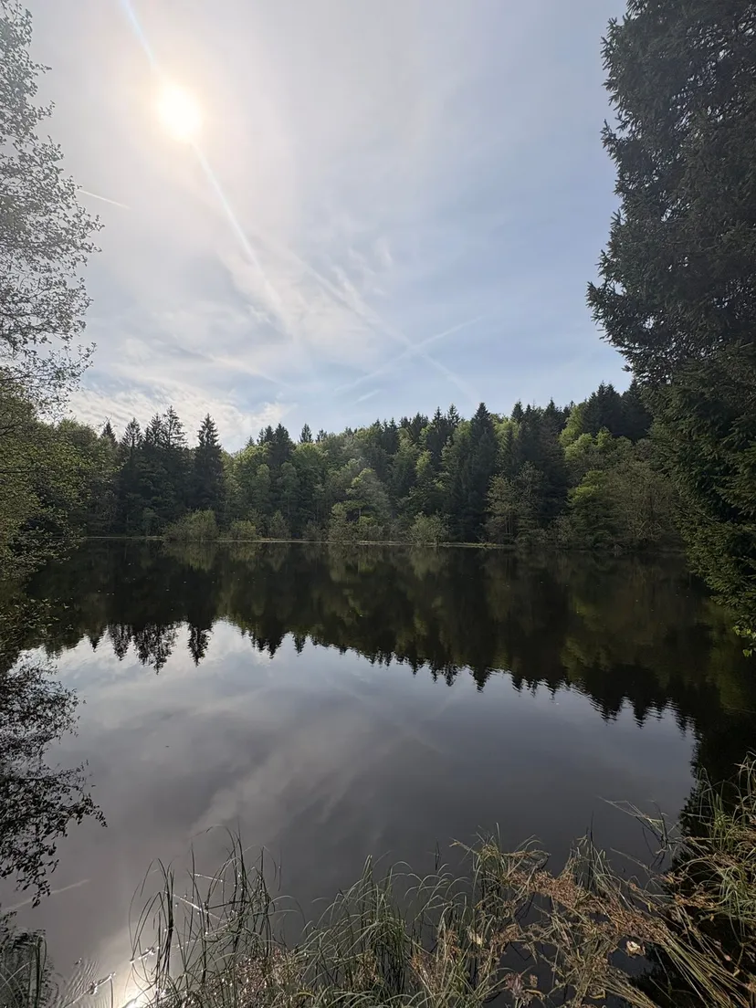Chalet avec étangs privés et vue exceptionnelle
