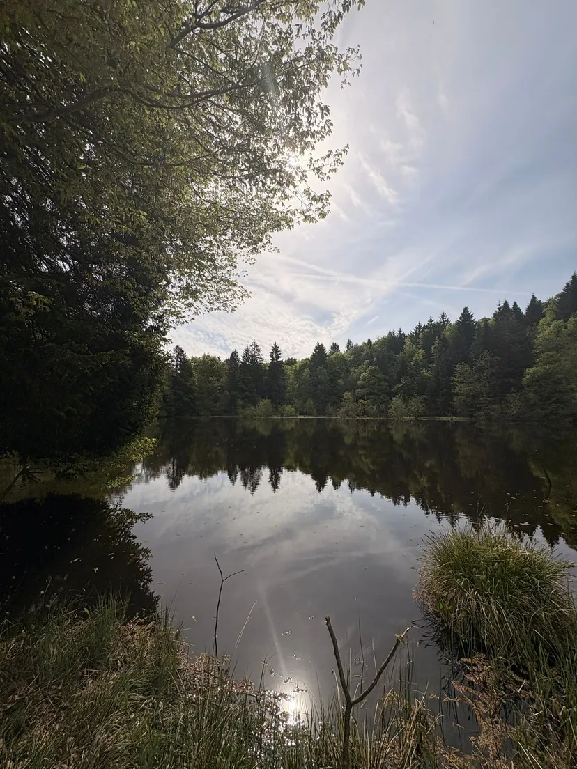 Chalet avec étangs privés et vue exceptionnelle