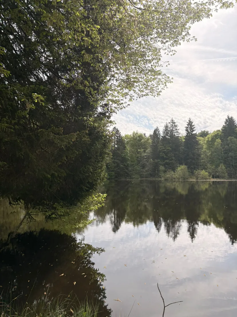 Chalet avec étangs privés et vue exceptionnelle