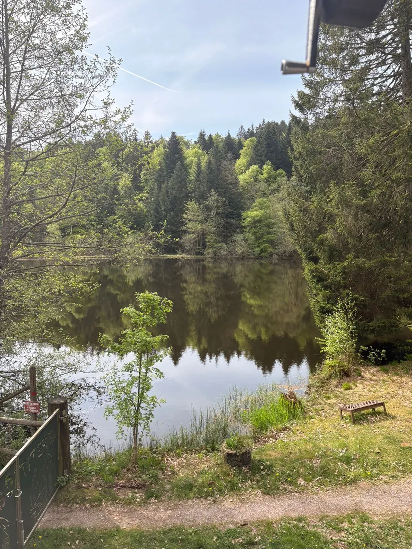 Chalet avec étangs privés et vue exceptionnelle