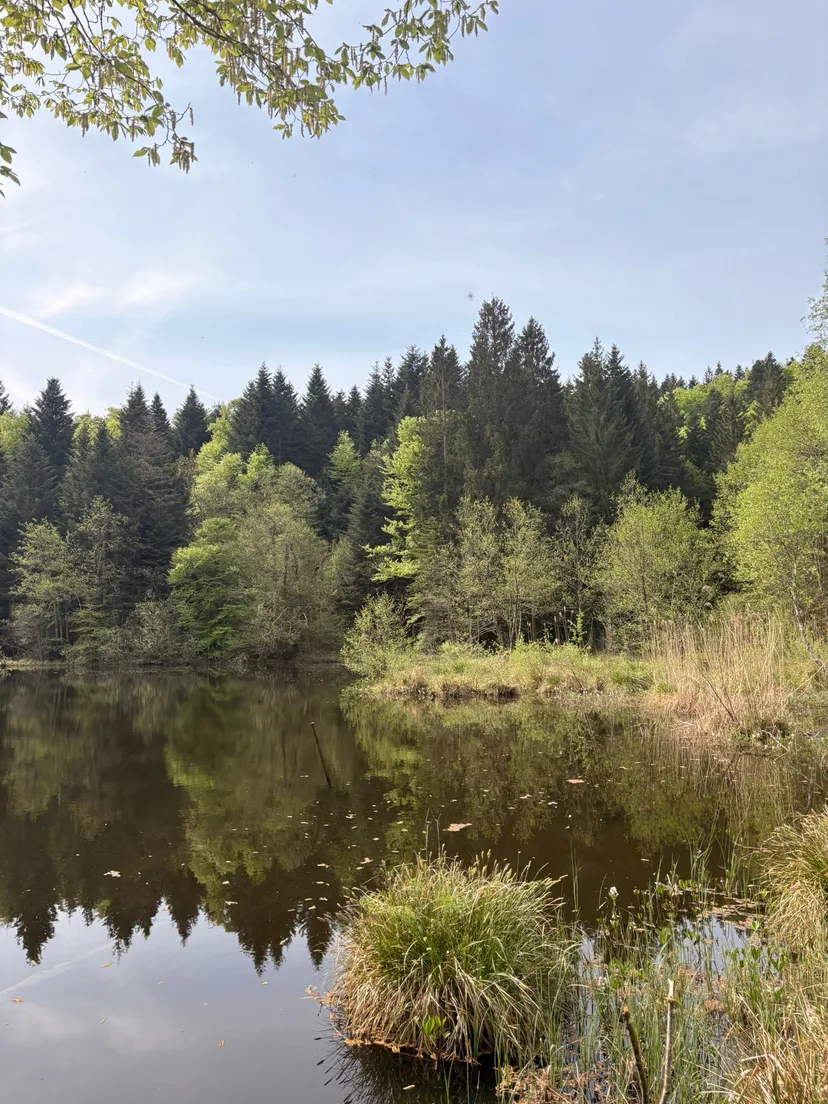 Chalet avec étangs privés et vue exceptionnelle
