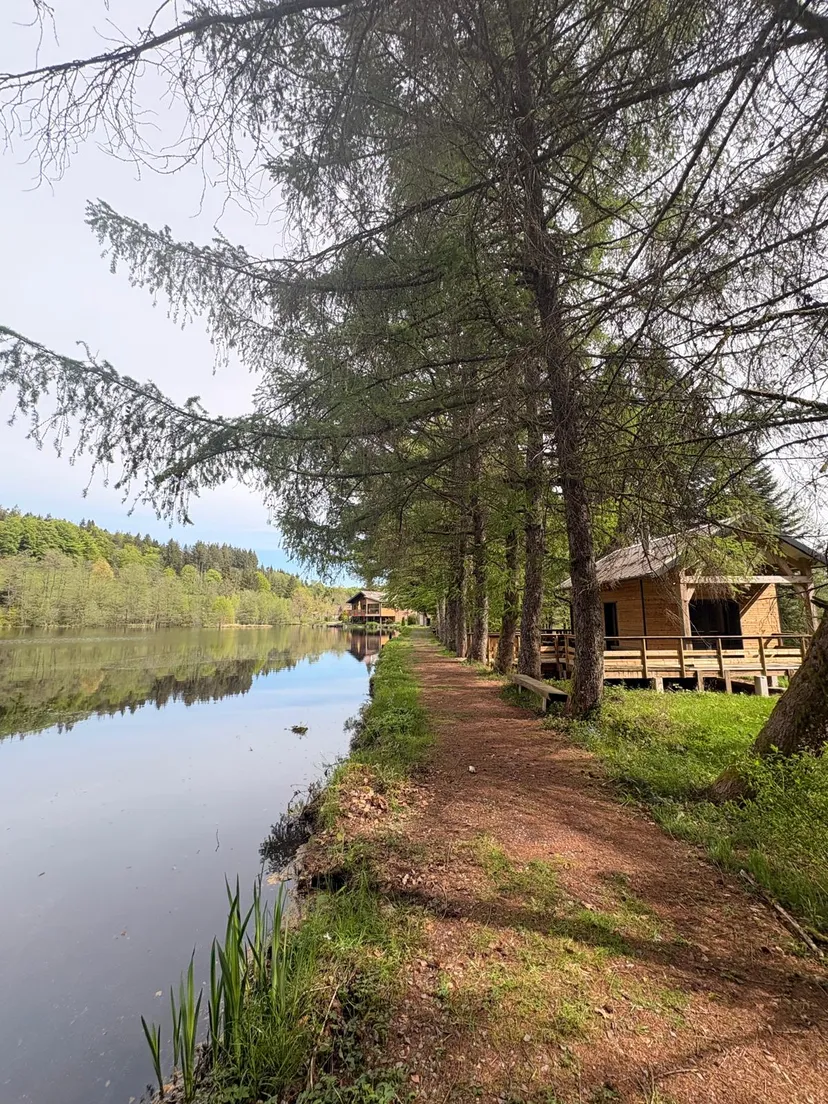 Maison avec chalet privée au coeur des vosges