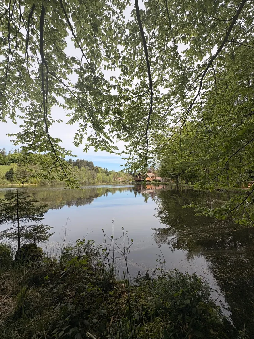Maison avec chalet privée au coeur des vosges