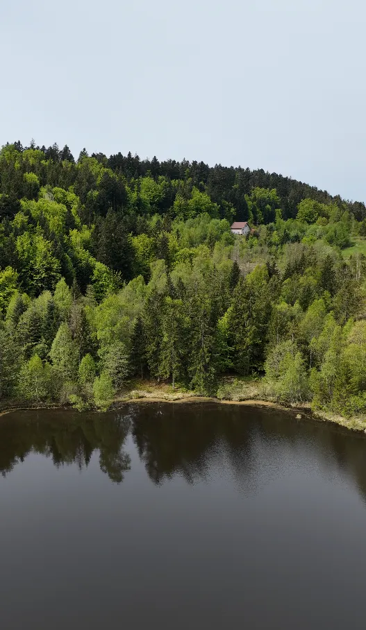 Maison avec chalet privée au coeur des vosges