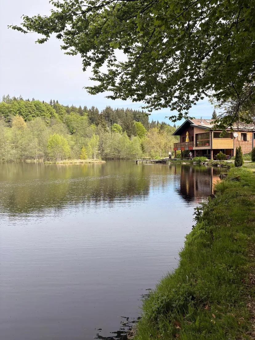 Maison avec chalet privée au coeur des vosges