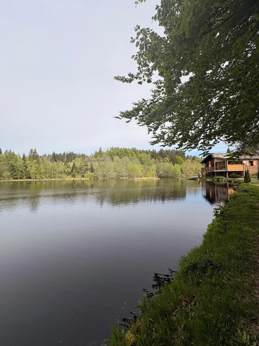Maison avec chalet privée au coeur des vosges