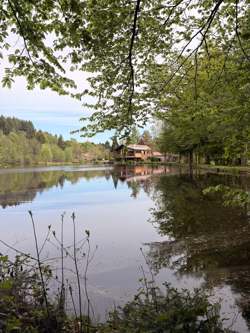 Maison avec chalet privée au coeur des vosges