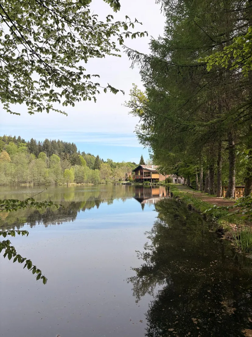 Maison avec chalet privée au coeur des vosges