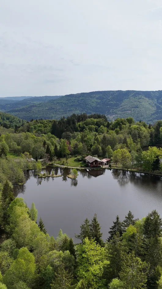 Maison avec chalet privée au coeur des vosges