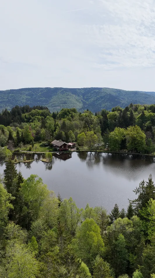 Maison avec chalet privée au coeur des vosges