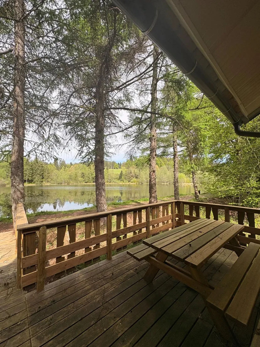 Maison avec chalet privée au coeur des vosges