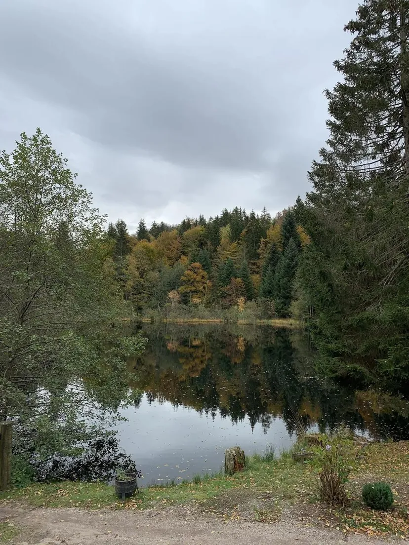 Chalet avec étangs privés et vue exceptionnelle