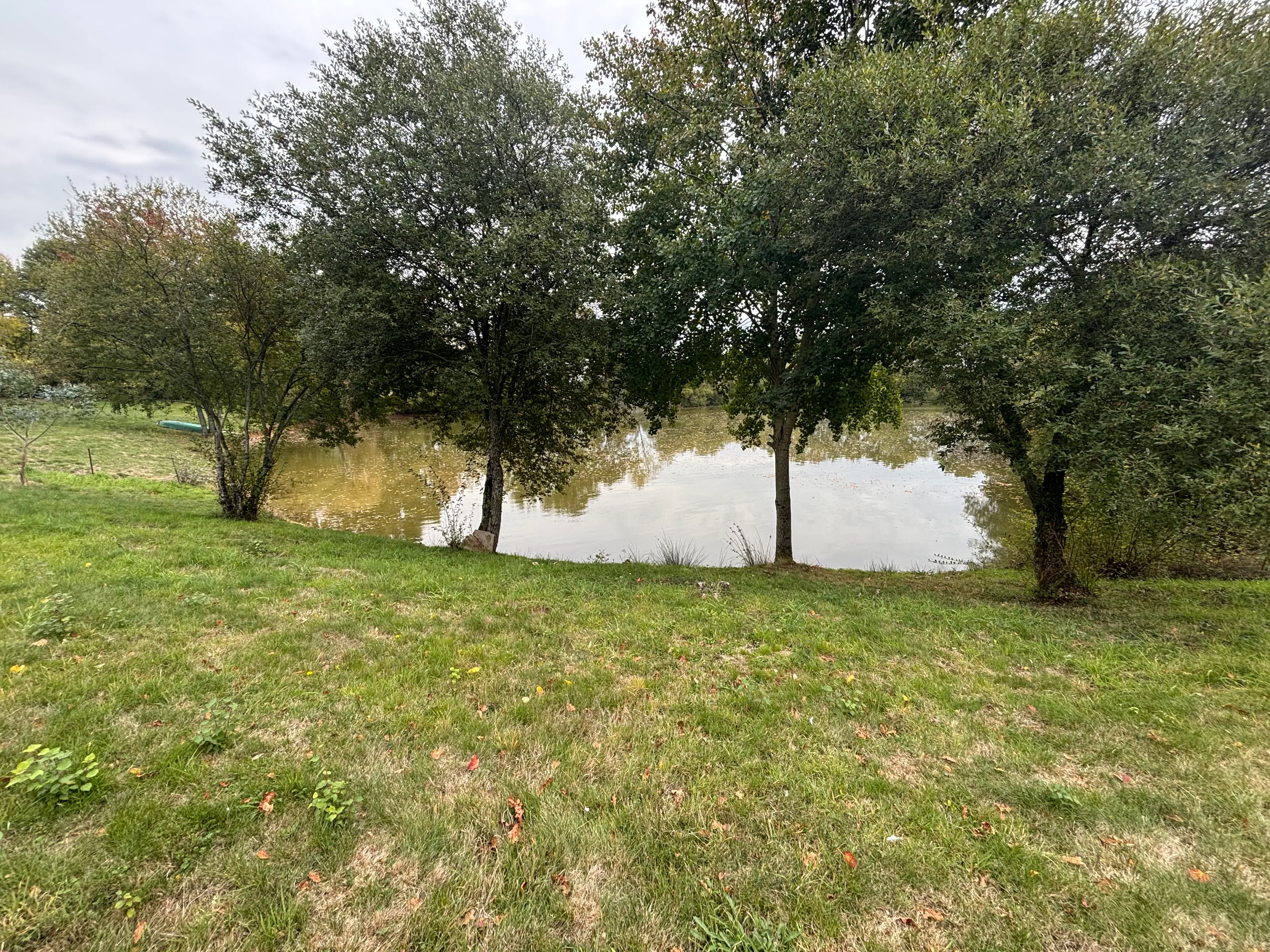 Étang de pêche dans les Deux-Sèvres – Jusqu’à 20 personnes – 1 ha alimenté par source