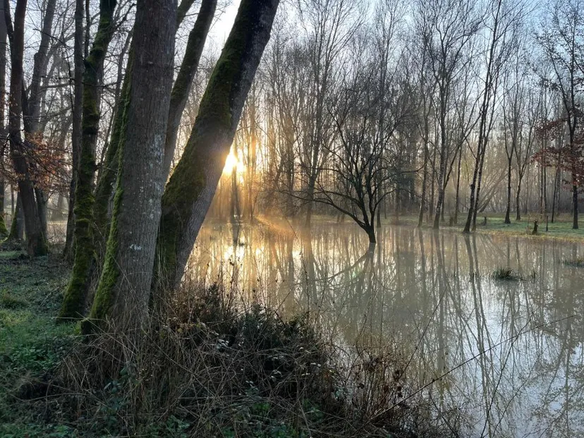 Domaine de 5 hectares avec chambre familiale et accès à 600 m de rivière