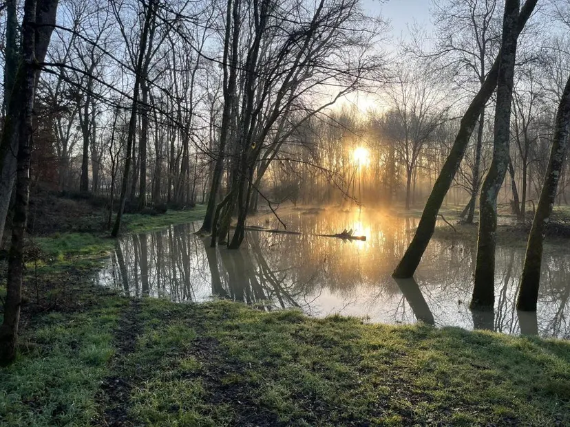 Domaine de 5 hectares avec chambre familiale et accès à 600 m de rivière