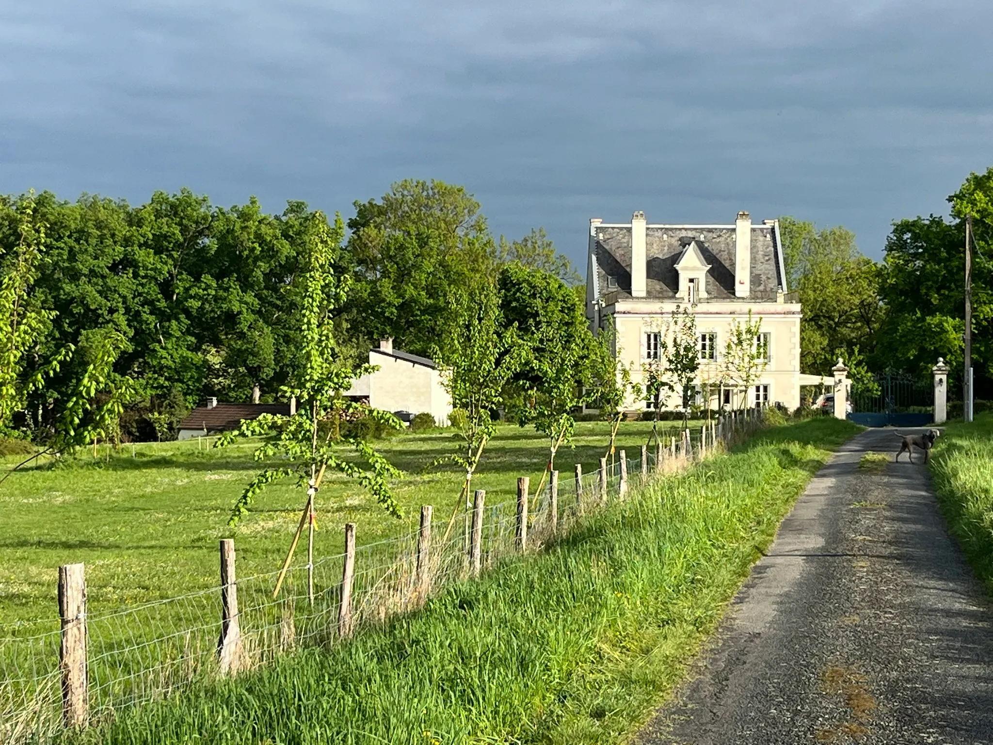 Chambre avec 600 m de berges, havre de nature et tranquillité
