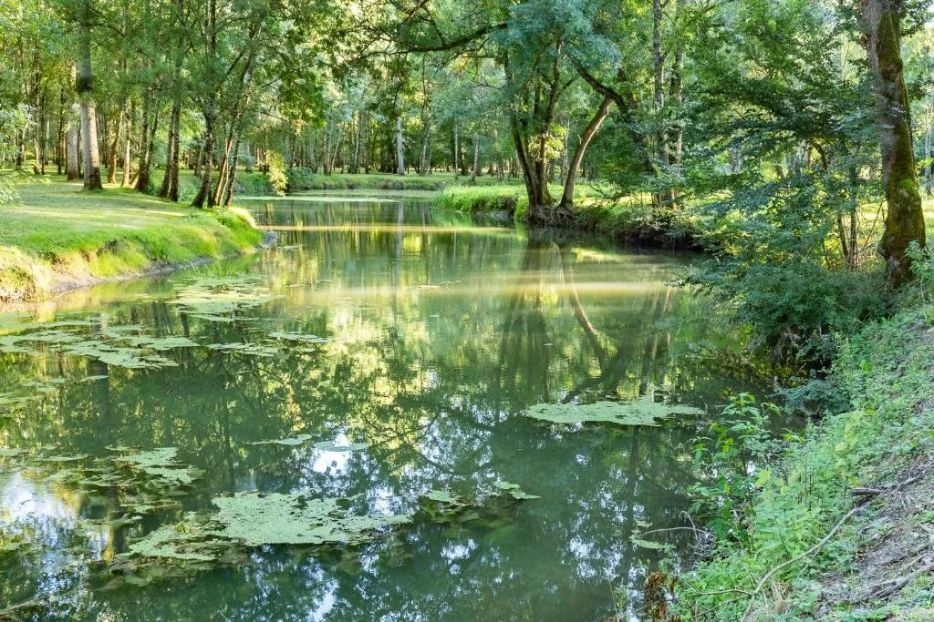 Chambre avec 600 m de berges, havre de nature et tranquillité