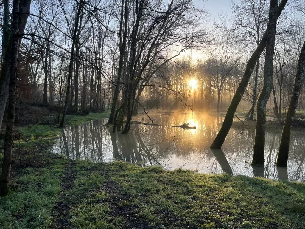 Chambre avec 600 m de berges, havre de nature et tranquillité
