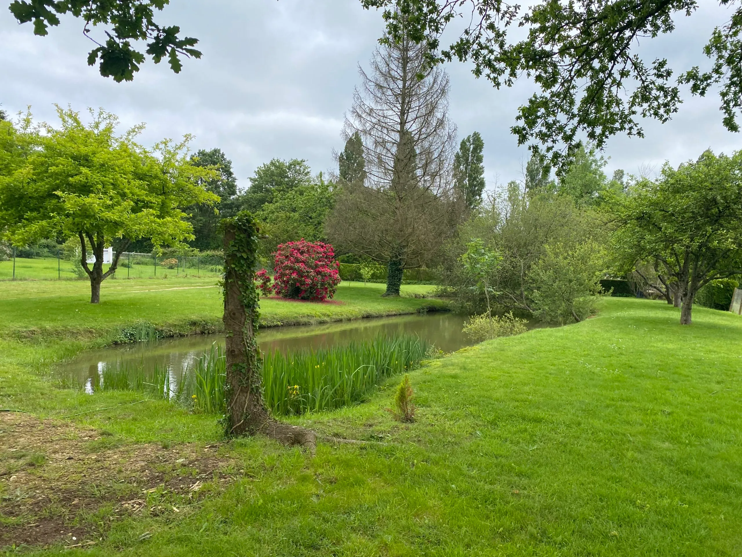 Chalet autonome avec vue sur jardin et étang privé