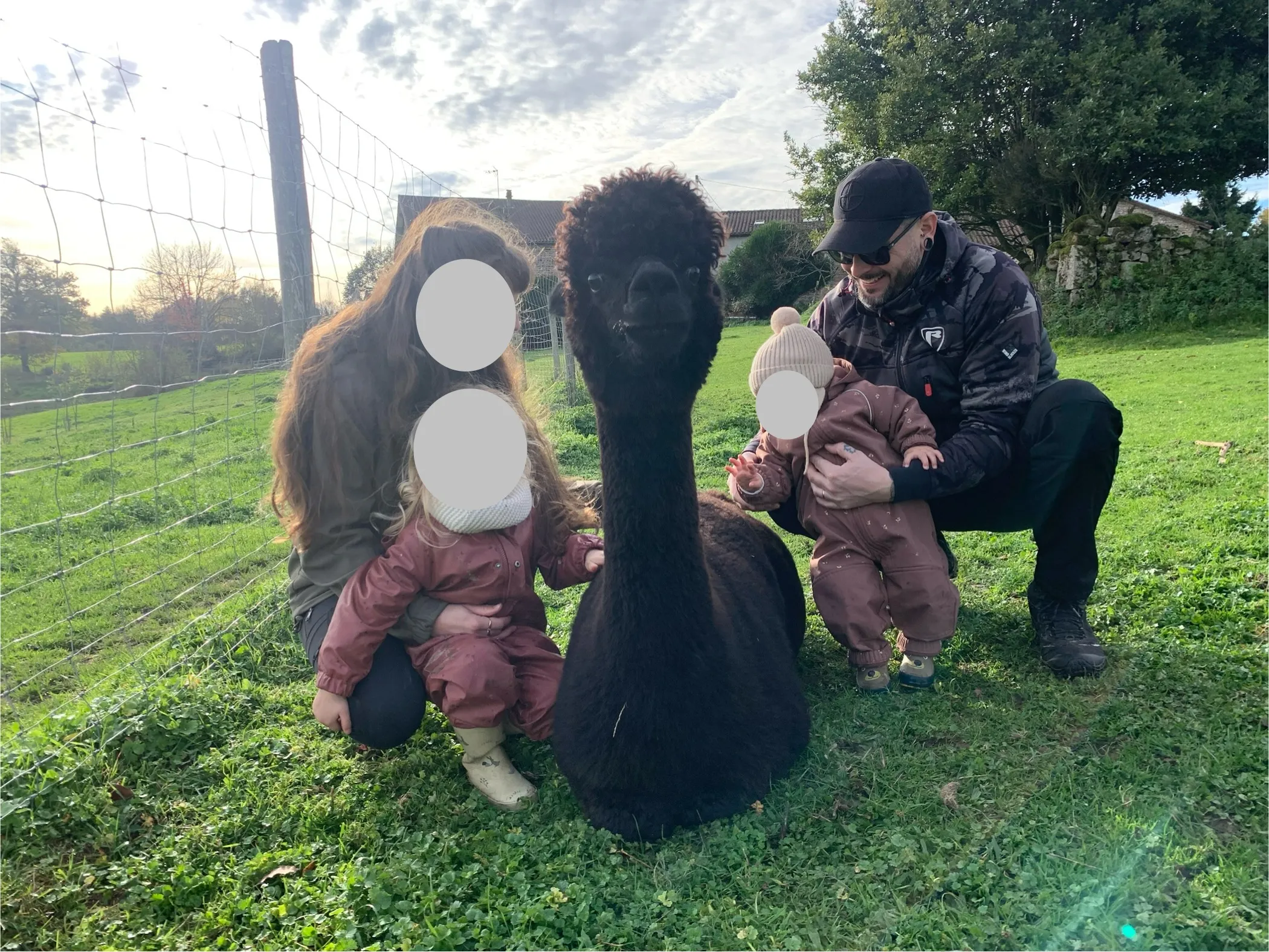 Gite avec 3 étangs au coeur d'un élevage d'alpagas.