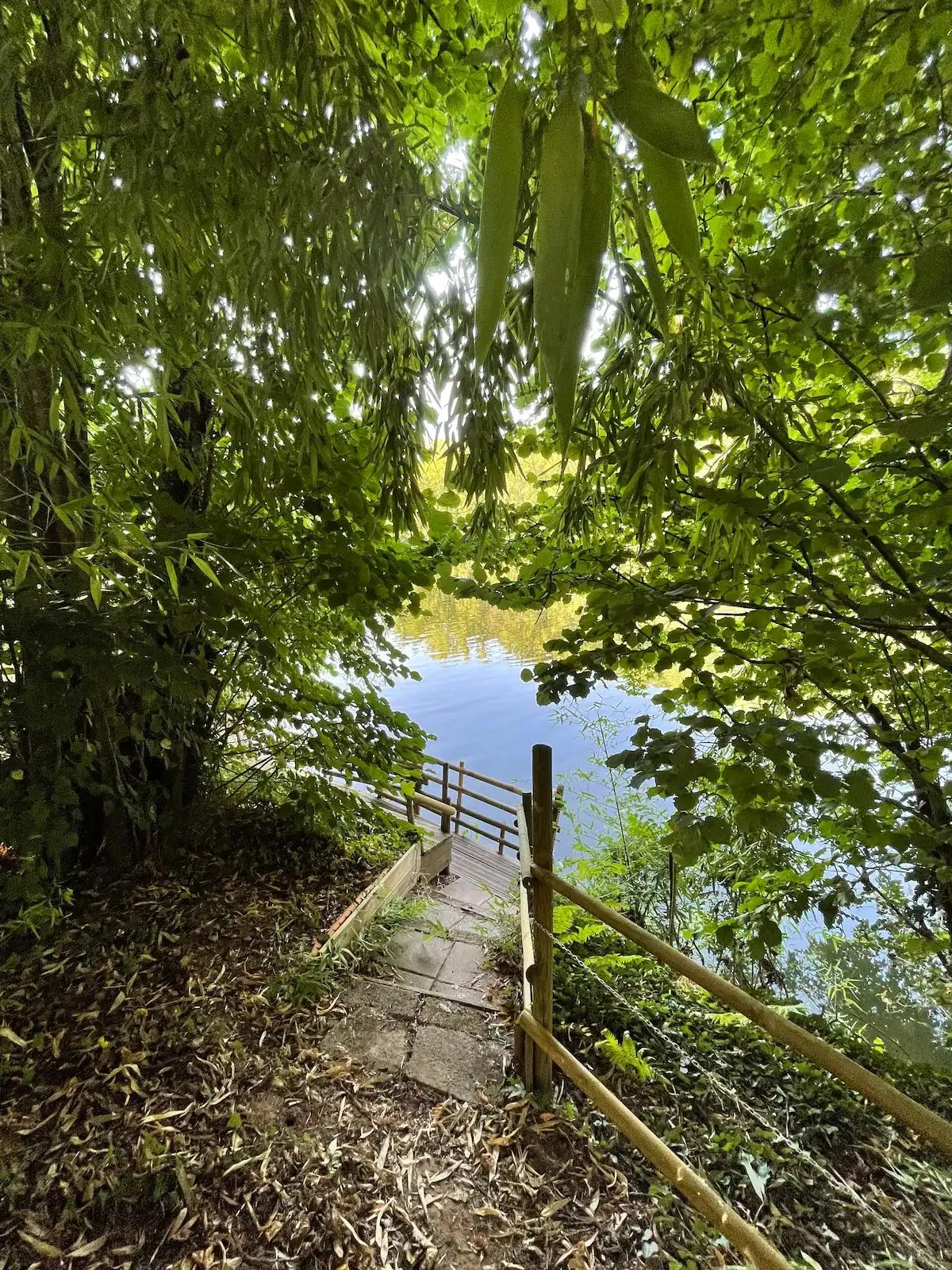 Maisonnette au bord de la rivière du Tarn