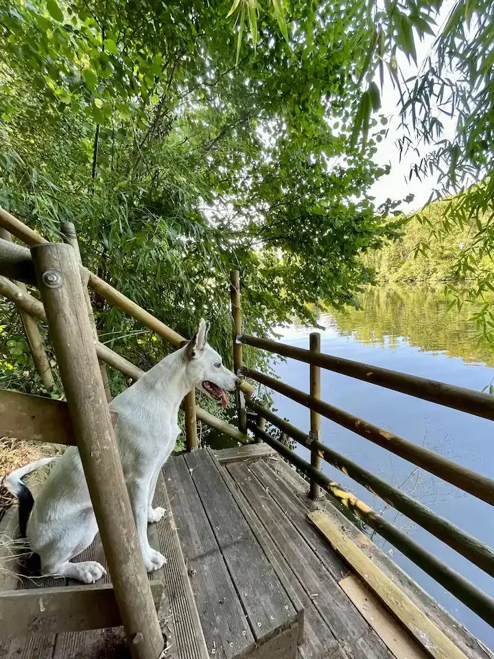 Maisonnette au bord de la rivière du Tarn