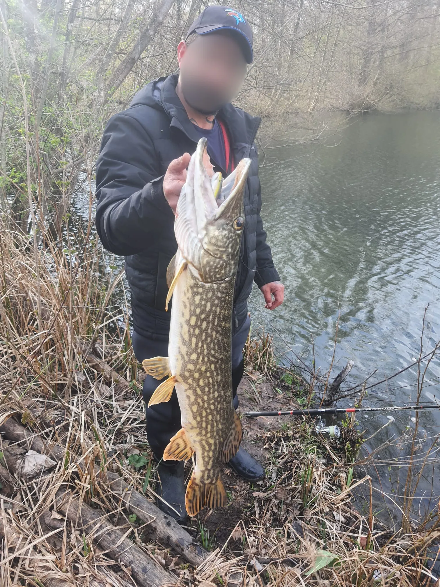 Séjour nature en Seine-et-Marne – 2 personnes – Chalet au bord d’un étang privé