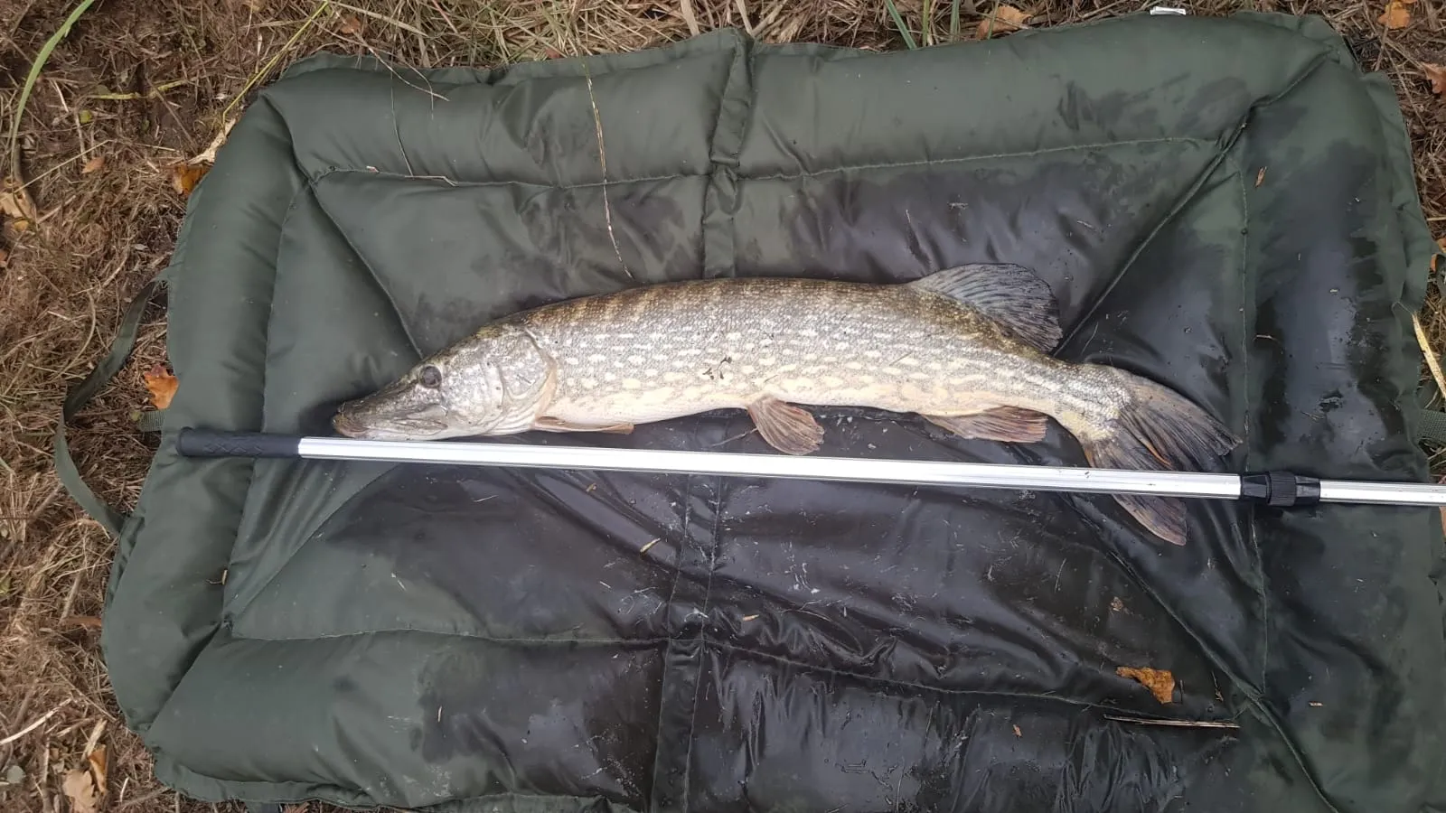 Séjour nature en Seine-et-Marne – 2 personnes – Chalet au bord d’un étang privé
