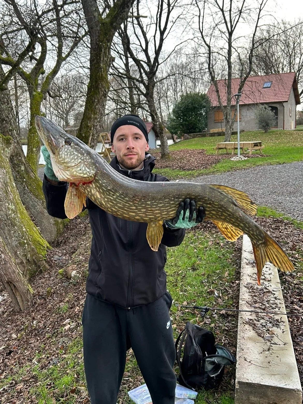 Chalet, tiny house & sauna au bord d’un étang privé de 3 ha