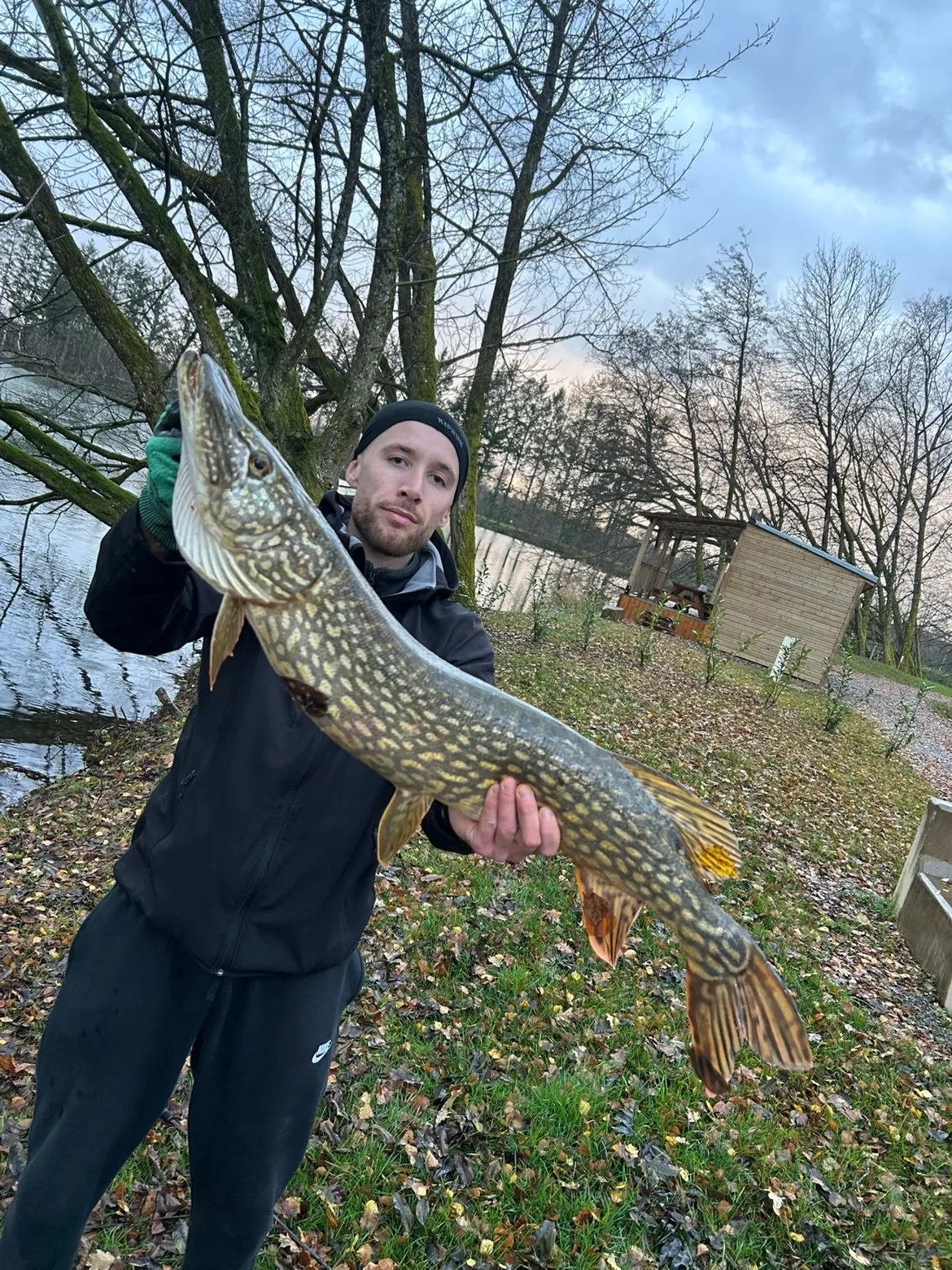 Chalet, tiny house & sauna au bord d’un étang privé de 3 ha