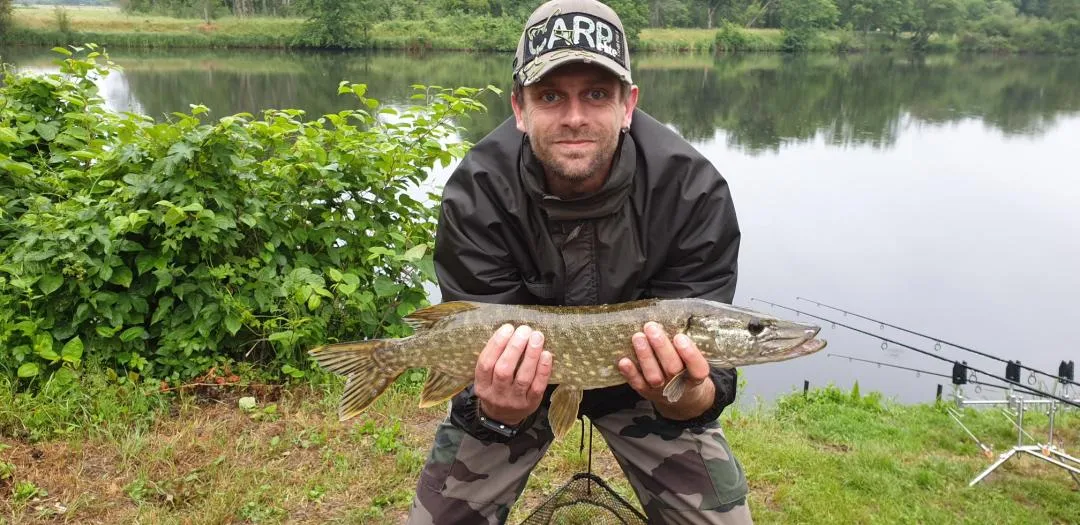 Étang sauvage au coeur des Vosges