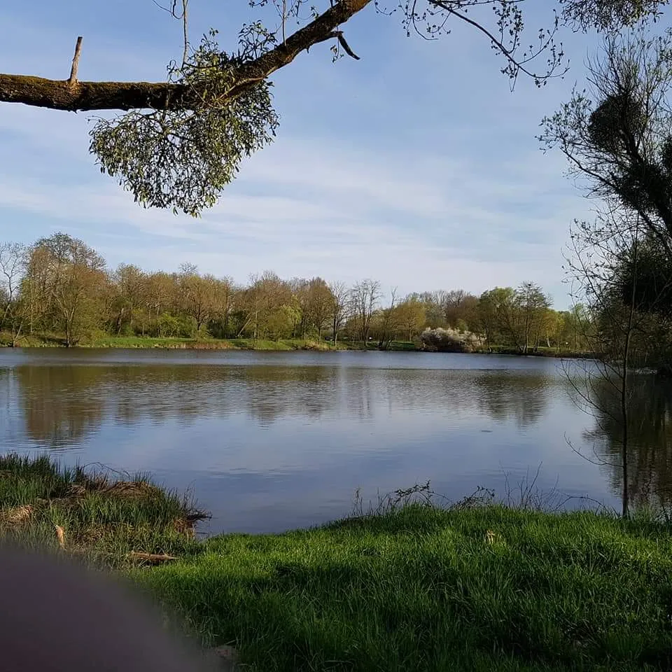 Étang sauvage au coeur des Vosges
