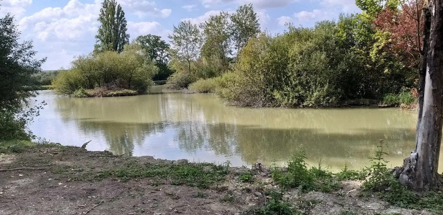 Étang de 1,1 ha au milieu de la nature