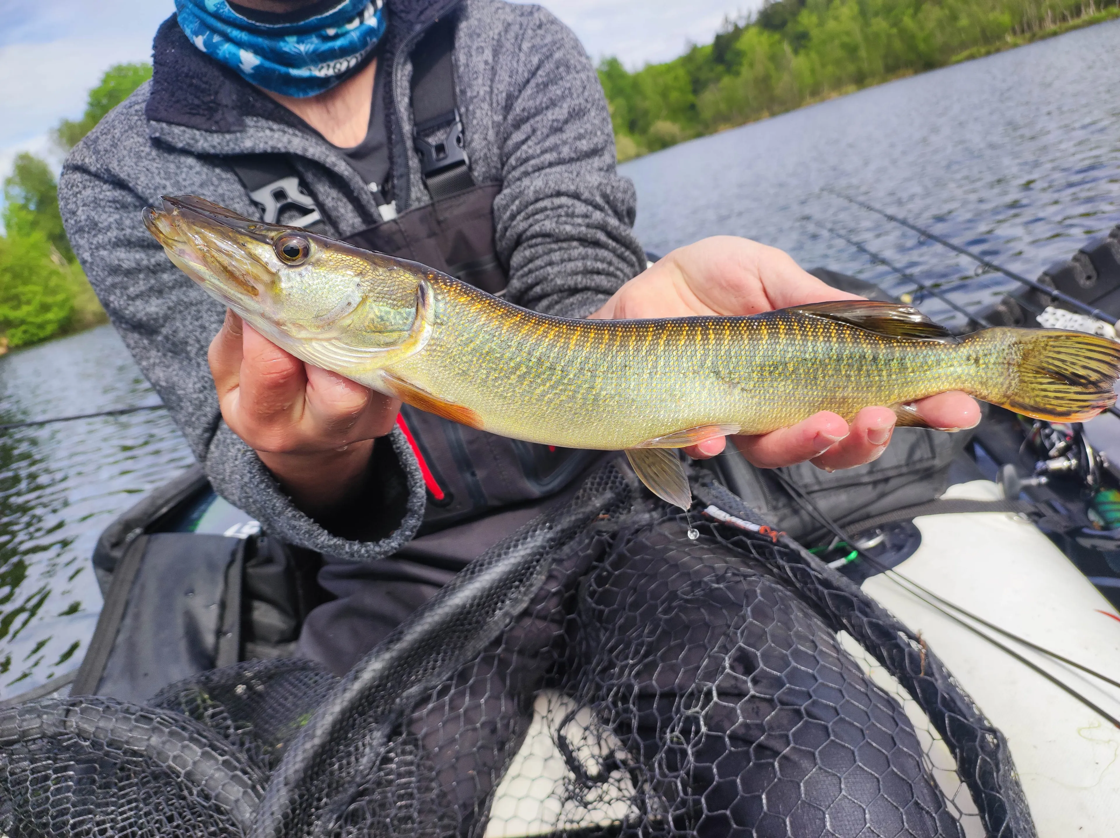 2 étangs de 12ha en déconnexion totale au coeur de la nature