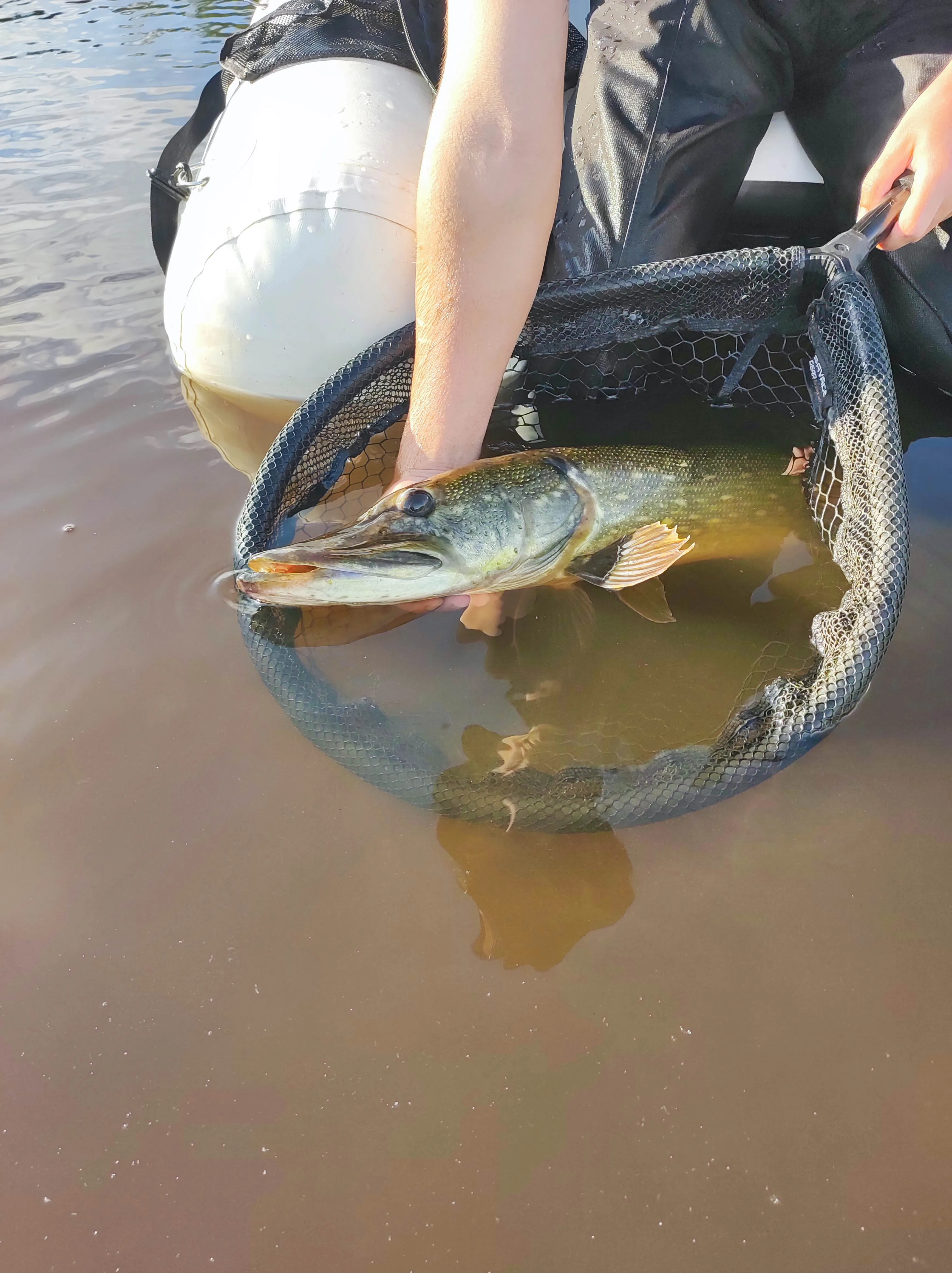 2 étangs de 12ha en déconnexion totale au coeur de la nature